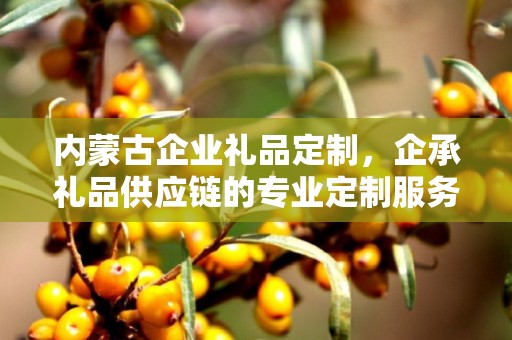 内蒙古企业礼品定制，企承礼品供应链的专业定制服务